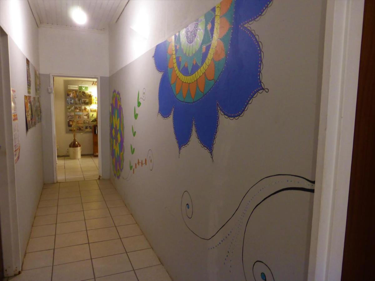 Orange Elephant Backpackers Hostel Addo Buitenkant foto